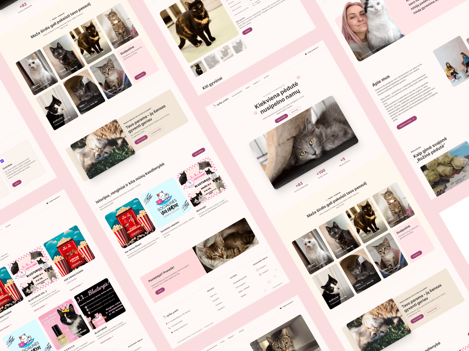 Rožinė Pėdutė Website Design